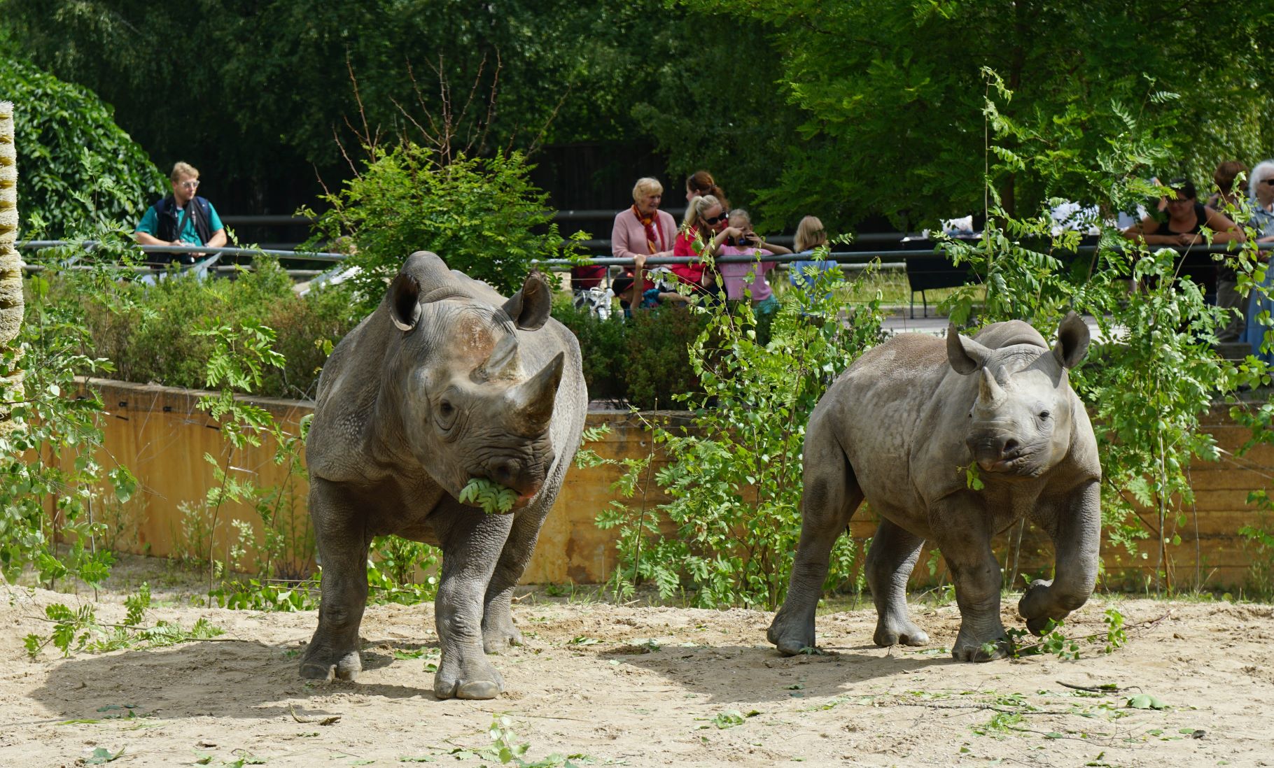 Tallinna loomaaed kutsub 25. augustil juubelipeole