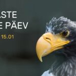 Tallinna loomaaed korraldab kotkaste kaitse päeva