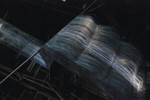 Kärt Ojavee, Johanna Ulfsak. Ülekanded. 2016. Autorite loal