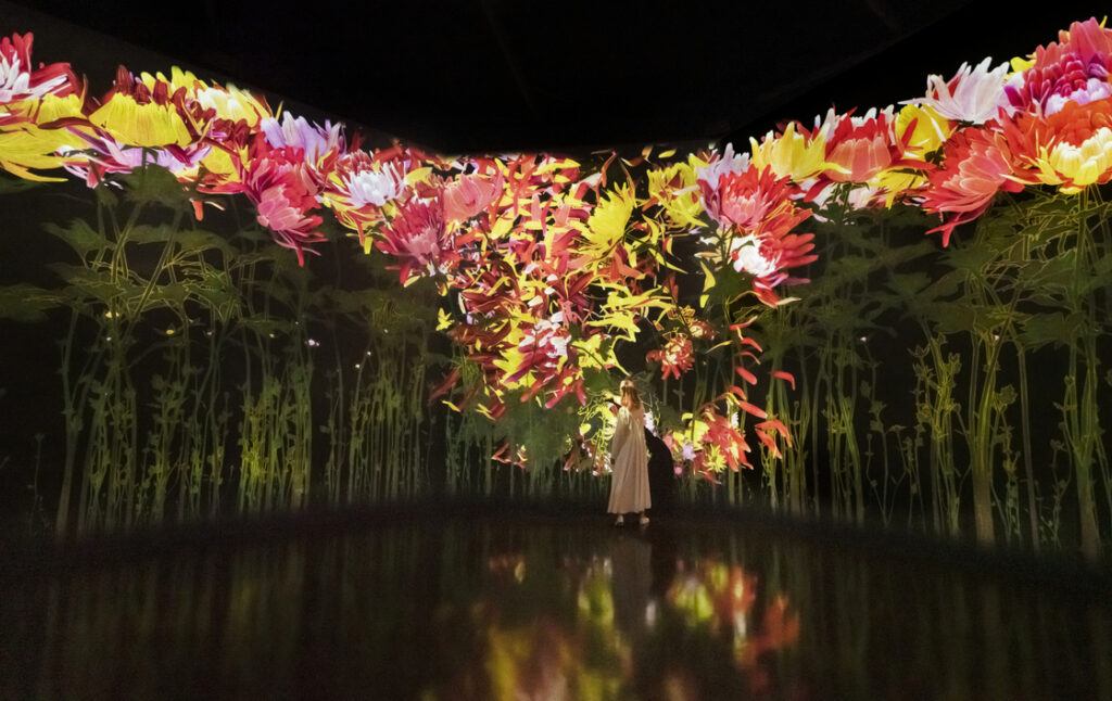 teamLab. Illustratiivne näitusevaade. Hõljuvad õied igavikumeres. 2022. Kumu kunstimuuseum. © teamLab, Pace Gallery loal